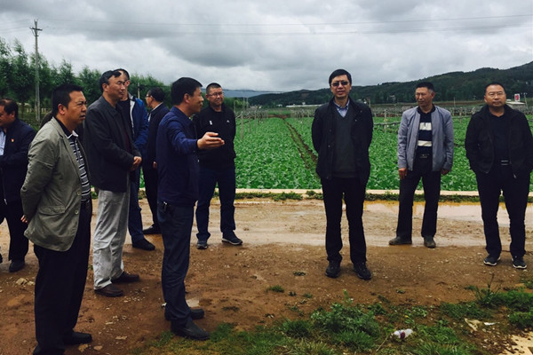 微信图片_20180605112539_副本.jpg 微信图片_20180605112539_副本.jpg