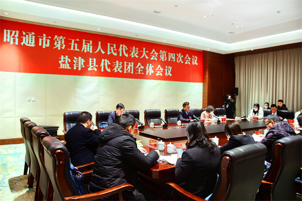 审议3.jpg 审议3.jpg