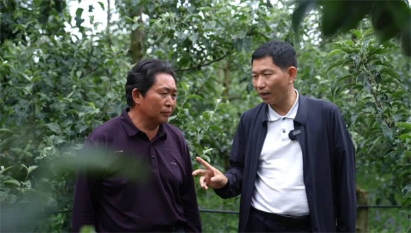 528履职平台1.jpg 528履职平台1.jpg