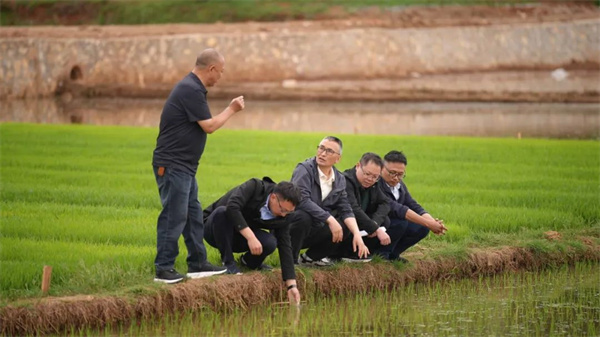 528履职平台2.jpg 528履职平台2.jpg