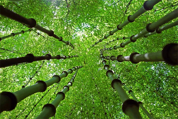 0904专题询问2.jpg 0904专题询问2.jpg