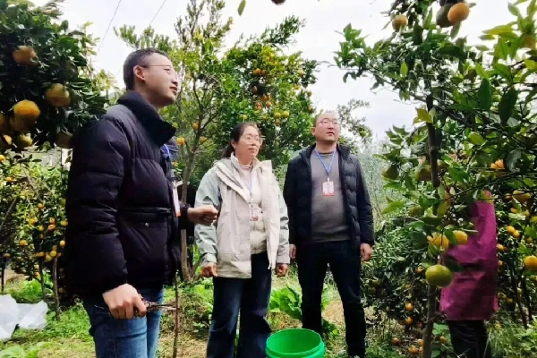 1127ludian.jpg 1127ludian.jpg