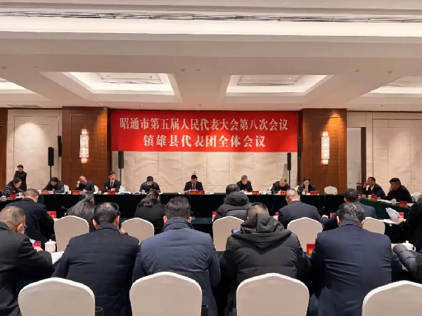 20260121代表热议政府工作报告1.jpg 20260121代表热议政府工作报告1.jpg