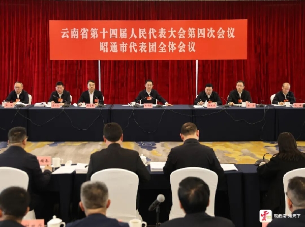 20260129王玉波1.jpg 20260129王玉波1.jpg