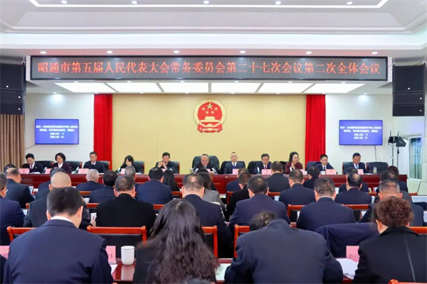 1230常委会.jpg